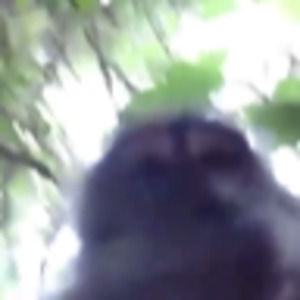 Meet your Posher, Luke